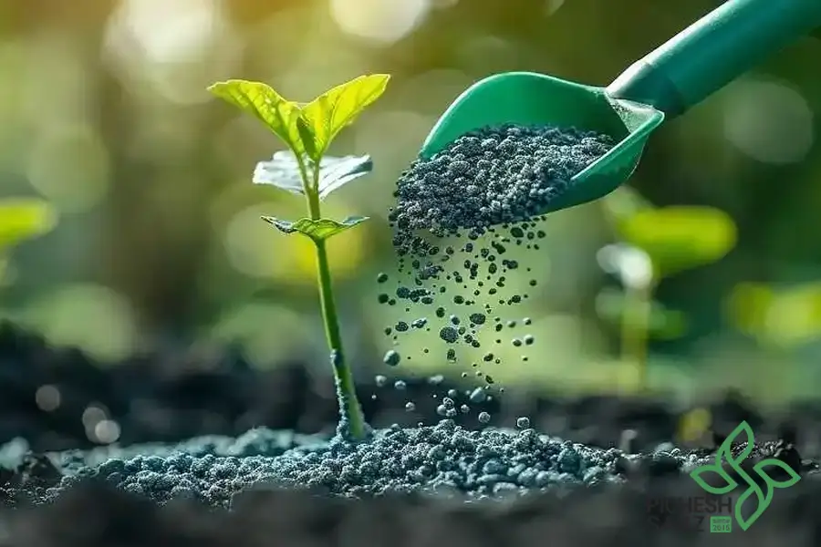 نکات کلیدی در استفاده بهینه از کود شیمیایی برای بازدهی بیشتر