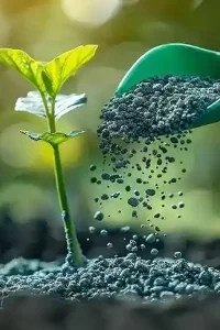 نکات کلیدی در استفاده بهینه از کود شیمیایی برای بازدهی بیشتر